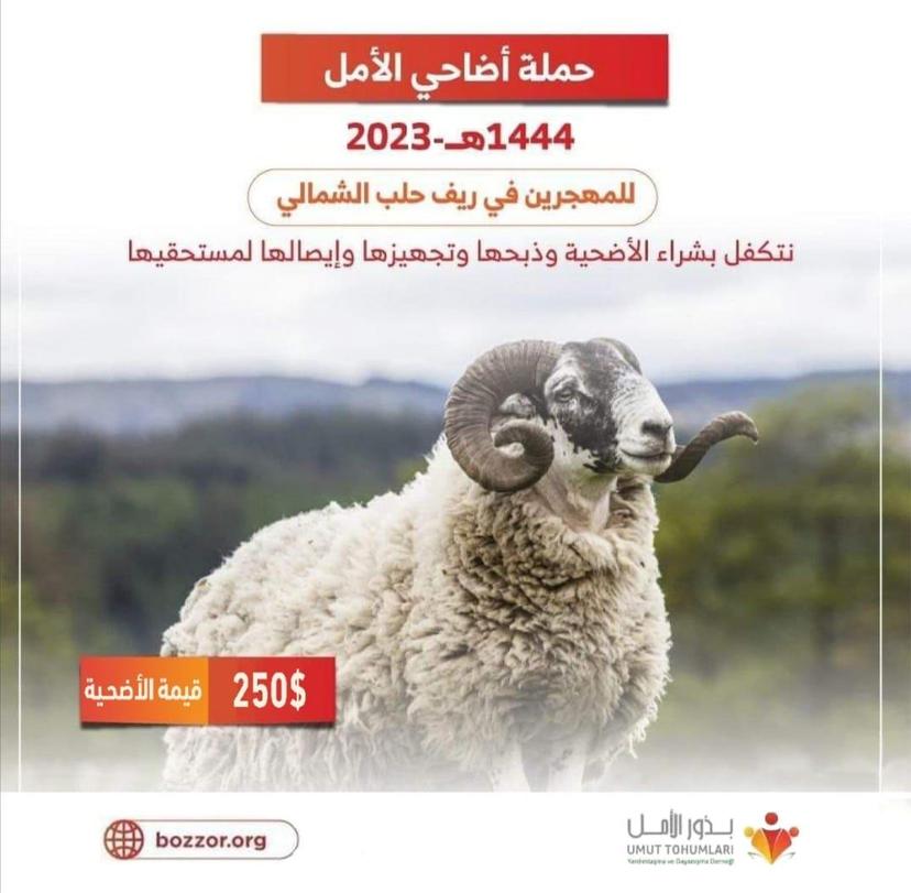 The sacrifice project 1444-2023