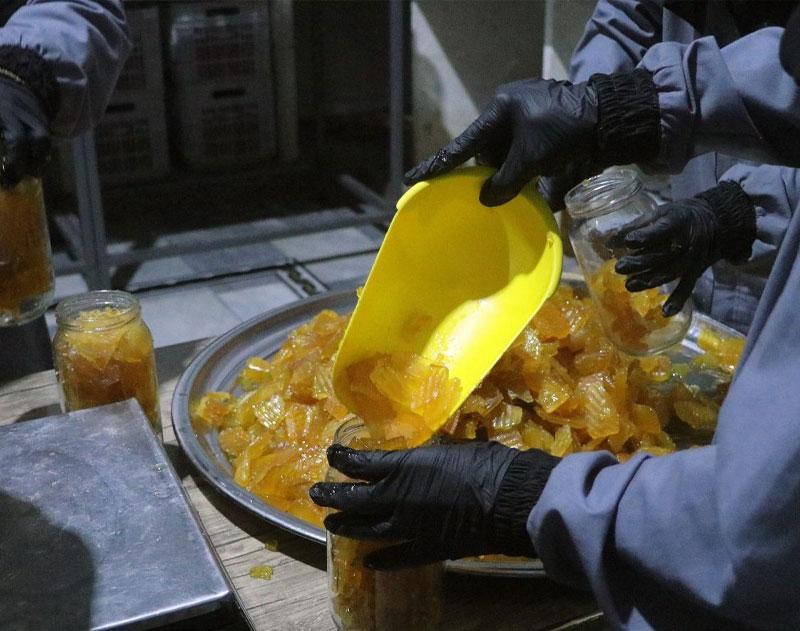 Women's Economic Participation in Food Security through Food Manufacturing Project