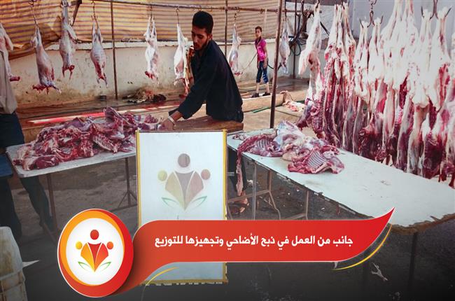 مشروع الأضاحي 1436 هـ