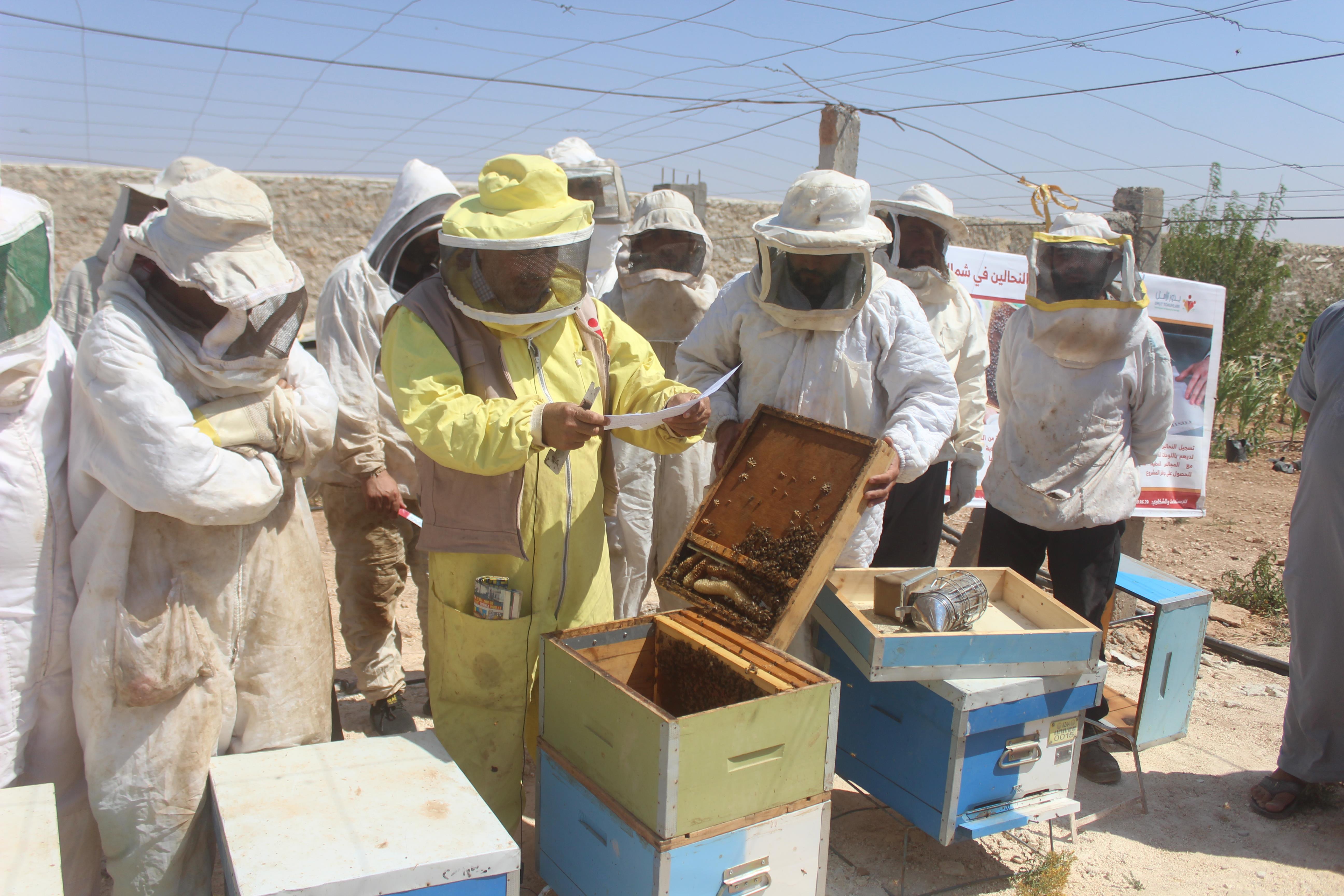 A project to support beekeepers in northwest Syria